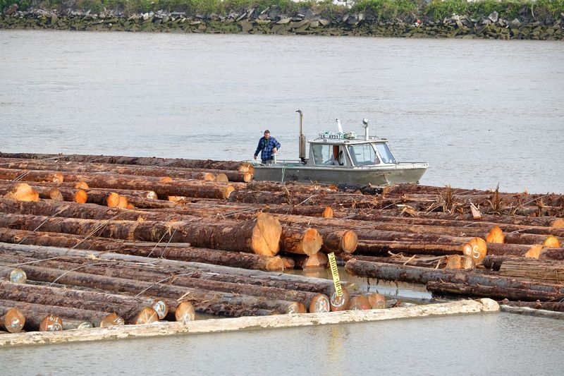 The Forestry Sector Offers Jobs in Canada